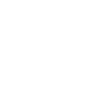 Logo Recognize
